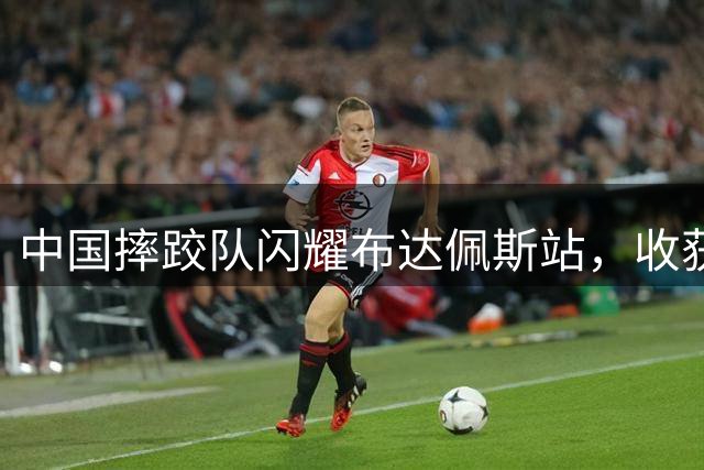 中国摔跤队闪耀布达佩斯站，收获4金6铜创佳绩