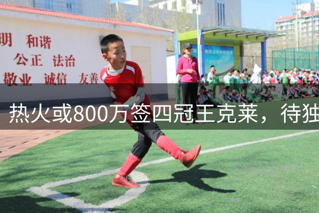 热火或800万签四冠王克莱，待独行侠买断